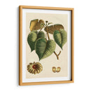 Pequeño Follaje Estacional I - Vision Studio | Cuadro decorativo de Canvas Lab