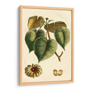 Pequeño Follaje Estacional I - Vision Studio | Cuadro decorativo de Canvas Lab