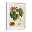 Pequeño Follaje Estacional I - Vision Studio | Cuadro decorativo de Canvas Lab