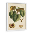 Pequeño Follaje Estacional I - Vision Studio | Cuadro decorativo de Canvas Lab