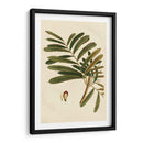 Pequeño Follaje Estacional Ii - Vision Studio | Cuadro decorativo de Canvas Lab