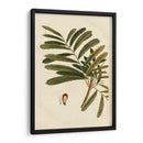 Pequeño Follaje Estacional Ii - Vision Studio | Cuadro decorativo de Canvas Lab