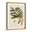 Pequeño Follaje Estacional Ii - Vision Studio | Cuadro decorativo de Canvas Lab