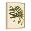 Pequeño Follaje Estacional Ii - Vision Studio | Cuadro decorativo de Canvas Lab