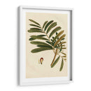 Pequeño Follaje Estacional Ii - Vision Studio | Cuadro decorativo de Canvas Lab