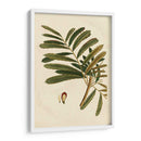 Pequeño Follaje Estacional Ii - Vision Studio | Cuadro decorativo de Canvas Lab