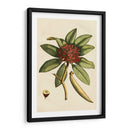 Pequeño Follaje Estacional Iii - Vision Studio | Cuadro decorativo de Canvas Lab