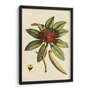 Pequeño Follaje Estacional Iii - Vision Studio | Cuadro decorativo de Canvas Lab