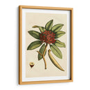 Pequeño Follaje Estacional Iii - Vision Studio | Cuadro decorativo de Canvas Lab
