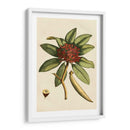 Pequeño Follaje Estacional Iii - Vision Studio | Cuadro decorativo de Canvas Lab