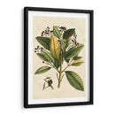 Pequeño Follaje Estacional Iv - Vision Studio | Cuadro decorativo de Canvas Lab