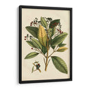 Pequeño Follaje Estacional Iv - Vision Studio | Cuadro decorativo de Canvas Lab