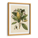 Pequeño Follaje Estacional Iv - Vision Studio | Cuadro decorativo de Canvas Lab