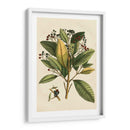 Pequeño Follaje Estacional Iv - Vision Studio | Cuadro decorativo de Canvas Lab