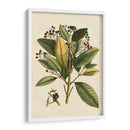 Pequeño Follaje Estacional Iv - Vision Studio | Cuadro decorativo de Canvas Lab