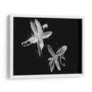 Poesía Vi - Tang Ling | Cuadro decorativo de Canvas Lab