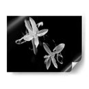 Poesía Vi - Tang Ling | Cuadro decorativo de Canvas Lab