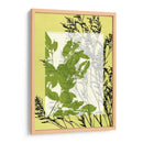 Pequeñas Flores Silvestres Translúcidas Iii - Jennifer Goldberger | Cuadro decorativo de Canvas Lab