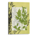 Pequeñas Flores Silvestres Translúcidas Iv - Jennifer Goldberger | Cuadro decorativo de Canvas Lab