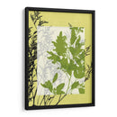 Pequeñas Flores Silvestres Translúcidas Iv - Jennifer Goldberger | Cuadro decorativo de Canvas Lab