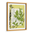 Pequeñas Flores Silvestres Translúcidas Iv - Jennifer Goldberger | Cuadro decorativo de Canvas Lab