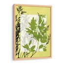 Pequeñas Flores Silvestres Translúcidas Iv - Jennifer Goldberger | Cuadro decorativo de Canvas Lab