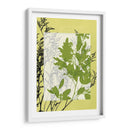 Pequeñas Flores Silvestres Translúcidas Iv - Jennifer Goldberger | Cuadro decorativo de Canvas Lab