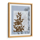 Pequeñas Flores Silvestres Translúcidas V - Jennifer Goldberger | Cuadro decorativo de Canvas Lab