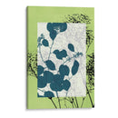 Pequeñas Flores Silvestres Translúcidas Vii - Jennifer Goldberger | Cuadro decorativo de Canvas Lab