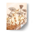 Campo De Encaje I - B. Dauman | Cuadro decorativo de Canvas Lab