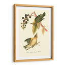 Audubons Warbler - John James Audubon | Cuadro decorativo de Canvas Lab