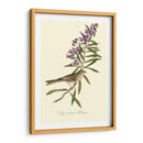 Audubons Bunting - John James Audubon | Cuadro decorativo de Canvas Lab