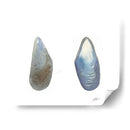 Tema Treasure Iii - Alicia Ludwig | Cuadro decorativo de Canvas Lab