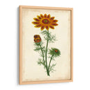 Vibrante Curtis Botanicals I | Cuadro decorativo de Canvas Lab