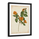 Vibrant Curtis Botanicals Ii | Cuadro decorativo de Canvas Lab