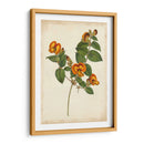 Vibrant Curtis Botanicals Ii | Cuadro decorativo de Canvas Lab