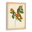 Vibrant Curtis Botanicals Ii | Cuadro decorativo de Canvas Lab