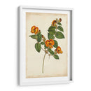 Vibrant Curtis Botanicals Ii | Cuadro decorativo de Canvas Lab