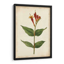 Vibrant Curtis Botanicals Iii | Cuadro decorativo de Canvas Lab