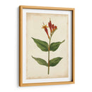 Vibrant Curtis Botanicals Iii | Cuadro decorativo de Canvas Lab