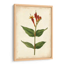 Vibrant Curtis Botanicals Iii | Cuadro decorativo de Canvas Lab