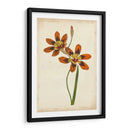 Vibrante Curtis Botanicals Iv | Cuadro decorativo de Canvas Lab