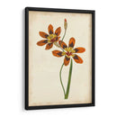 Vibrante Curtis Botanicals Iv | Cuadro decorativo de Canvas Lab