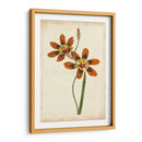 Vibrante Curtis Botanicals Iv | Cuadro decorativo de Canvas Lab