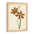 Vibrante Curtis Botanicals Iv | Cuadro decorativo de Canvas Lab