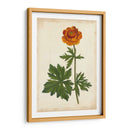 Vibrant Curtis Botanicals V | Cuadro decorativo de Canvas Lab