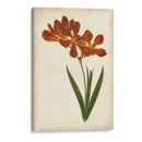 Vibrant Curtis Botanicals Vi | Cuadro decorativo de Canvas Lab