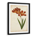 Vibrant Curtis Botanicals Vi | Cuadro decorativo de Canvas Lab