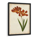 Vibrant Curtis Botanicals Vi | Cuadro decorativo de Canvas Lab