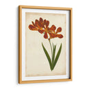 Vibrant Curtis Botanicals Vi | Cuadro decorativo de Canvas Lab